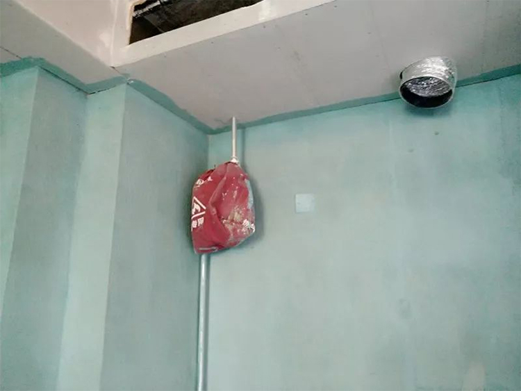 11.jpg 11.jpg